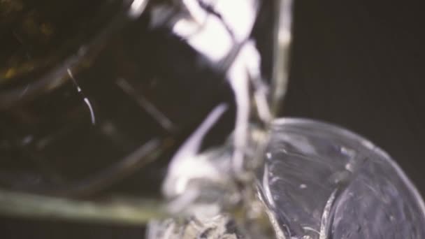 Slow-mo-Wein aus einer Karaffe in ein Glas von oben gießen - Filmmaterial, Video