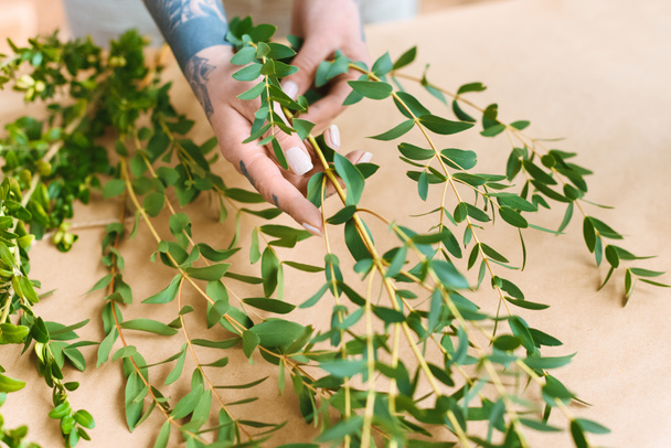 gros plan vue partielle du fleuriste avec des mains tatouées organisant des plantes vertes sur le lieu de travail
  - Photo, image