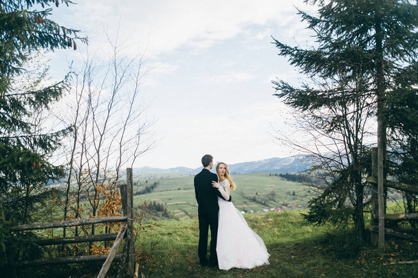 young couple of newlyweds posing in mountains - Photo, Image