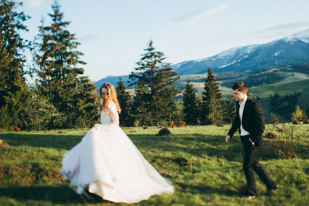 young couple of newlyweds walking  in mountains - Фото, изображение