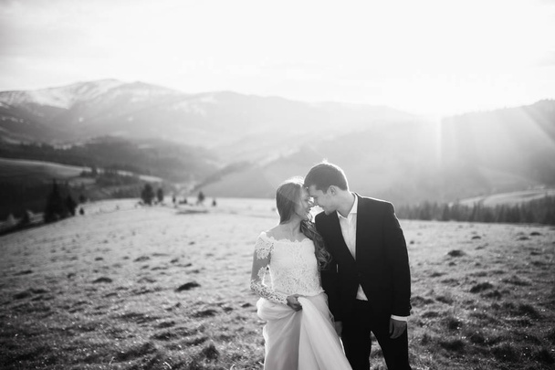young couple of newlyweds posing in mountains - Фото, зображення