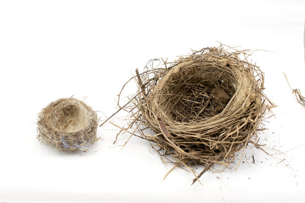 dva prázdné ptačí hnízdo na bílém - Fotografie, Obrázek