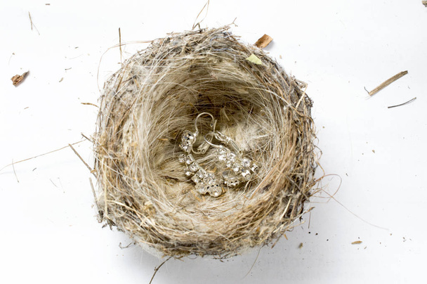 orecchini in argento su un nido vuoto di uccelli su bianco
 - Foto, immagini