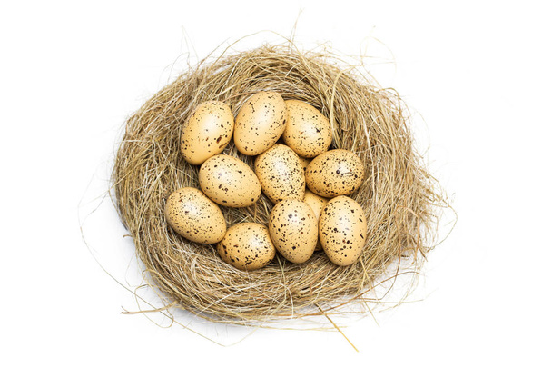Перепелині яйця на солом'яному гнізді
 - Фото, зображення
