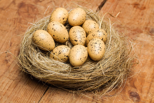 Перепелині яйця на солом'яному гнізді
 - Фото, зображення