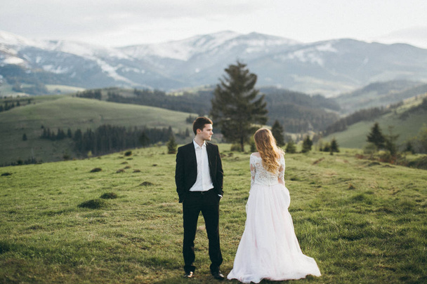young couple of newlyweds posing in mountains - Foto, afbeelding