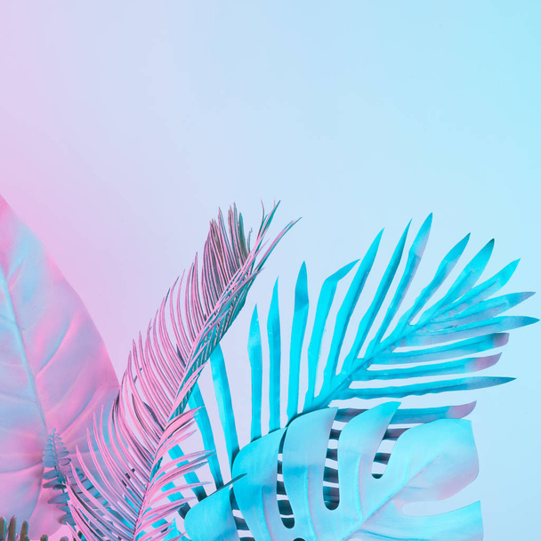 Tropical and palm leaves in vibrant bold gradient holographic colors. Concept art. Minimal surrealism. - Фото, изображение