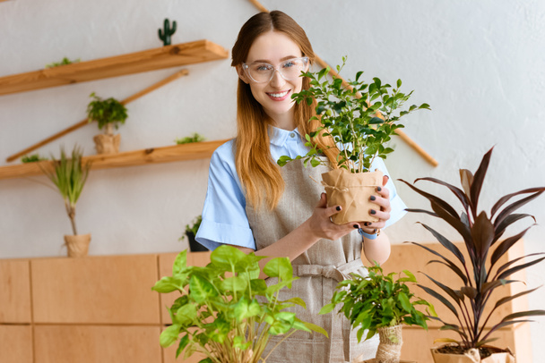 krásná mladá květinářství v brýle a zástěra drží zelená pokojová rostlina a usmívá se na kameru  - Fotografie, Obrázek
