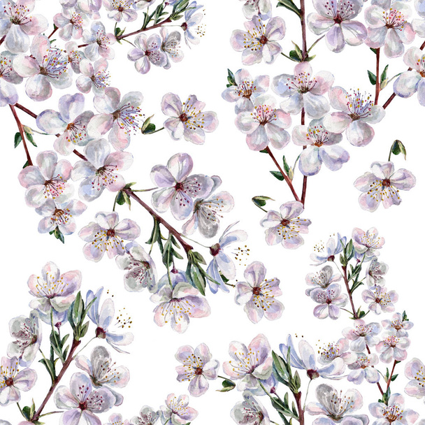 Flowers cherry of watercolor. Floral seamless pattern. - Foto, Imagen