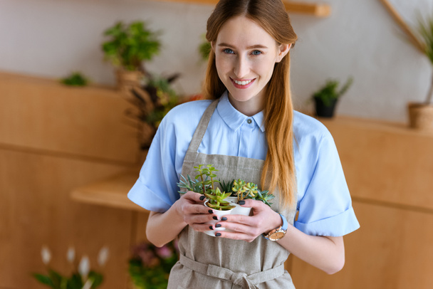 beautiful young florist in apron holding succulents in pots and smiling at camera in flower shop - Zdjęcie, obraz