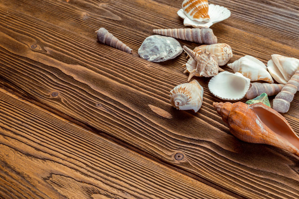 Beach accessories on wooden board - Fotografie, Obrázek
