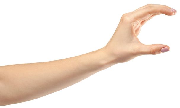 női kéz gesztus fehér háttér - Fotó, kép