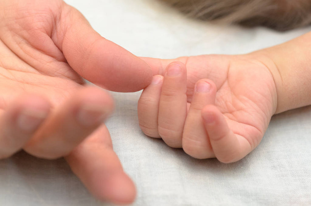 La mano de un niño sostiene a mamá por el dedo
. - Foto, imagen