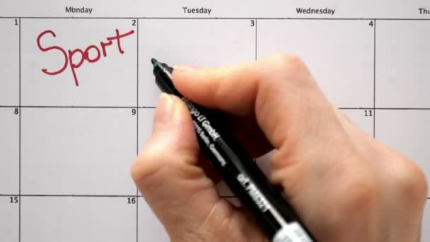 Υπογράψει την ημέρα στο ημερολόγιο με πένα, σχεδιάστε ένα άθλημα - Πλάνα, βίντεο