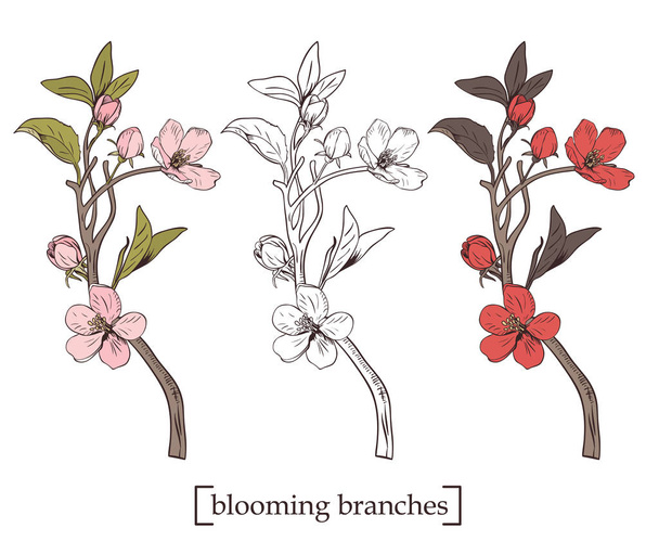 Blooming tree. Set collection. Hand drawn botanical blossom branches on white background. Vector illustration - Διάνυσμα, εικόνα