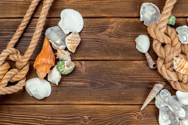 Seashells border on wood. Marine background. - Foto, Bild