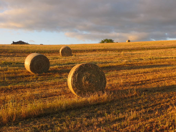 Hay bales on ground at sunset with clouds - Photo, Image