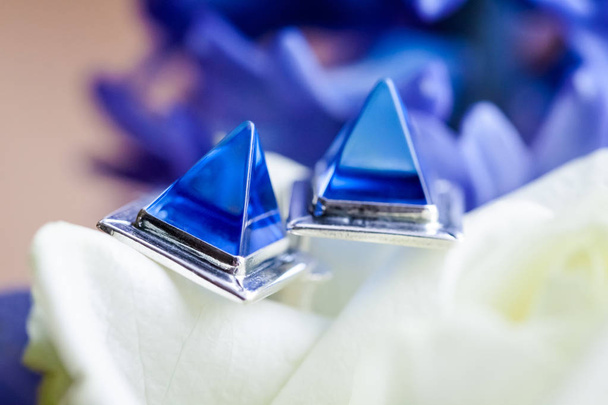 Mooie bruiloft sieraden earings detail - Foto, afbeelding