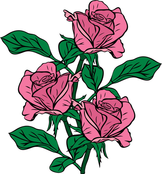 bouquet of three pink roses drawn by hand  - Вектор, зображення