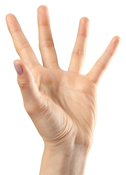 gesto da mão feminina no fundo branco
 - Foto, Imagem