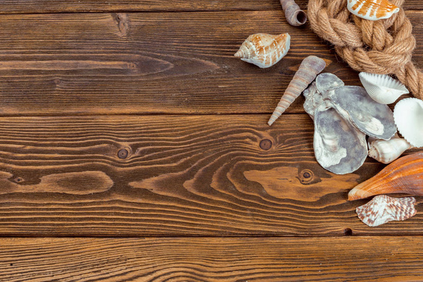 Seashells border on wood. Marine background. - Фото, изображение