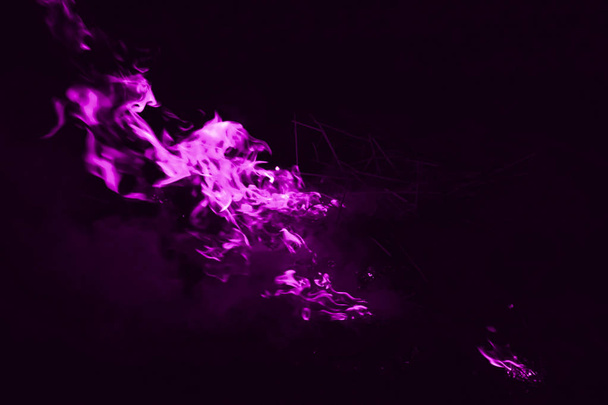 Violet flame. Fire. Burning of rice straw at night. - Foto, imagen