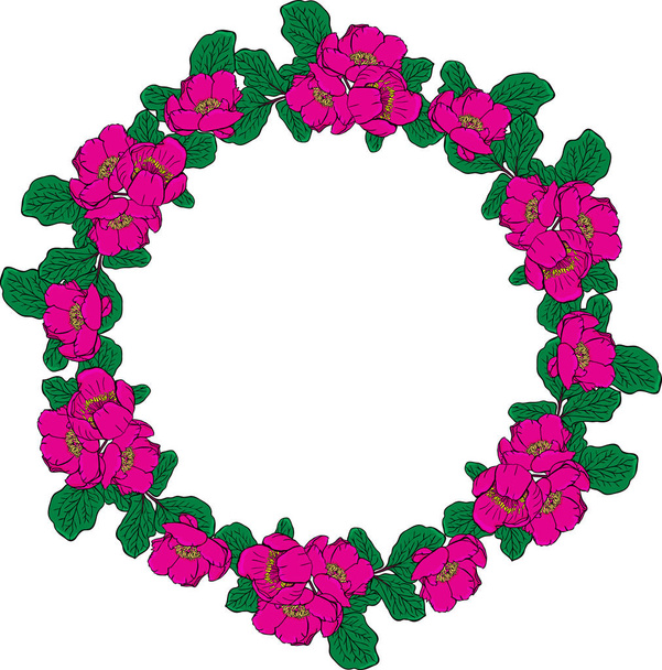 wreath of pink peonies and green leaves - Vector, Image