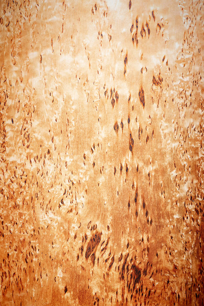 Karelian Birch texture - Φωτογραφία, εικόνα
