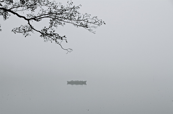brzegu jeziora - Zdjęcie, obraz