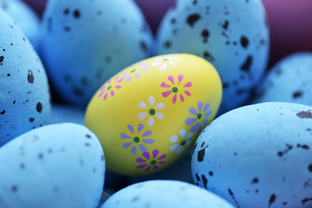 Huevos de Pascua de codorniz cerca  - Foto, Imagen
