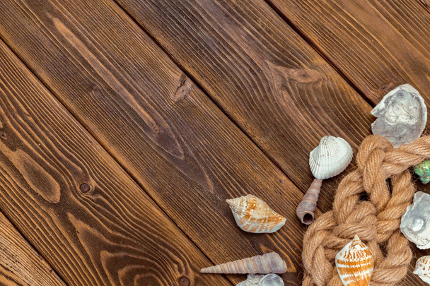 Seashells border on wood. Marine background. - Foto, Imagen