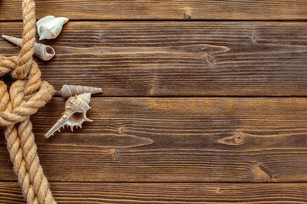 Seashells border on wood. Marine background. - Zdjęcie, obraz