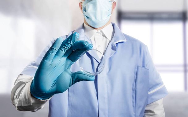 Foto di un assistente di laboratorio che tiene una tazza di Petri in completo e guanti di gomma
. - Foto, immagini