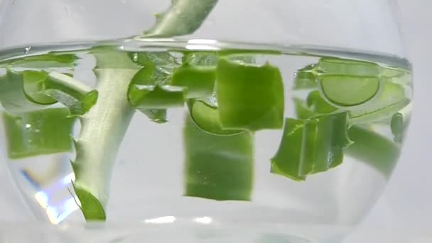 Aloë vera plant water kom achtergrond - Video