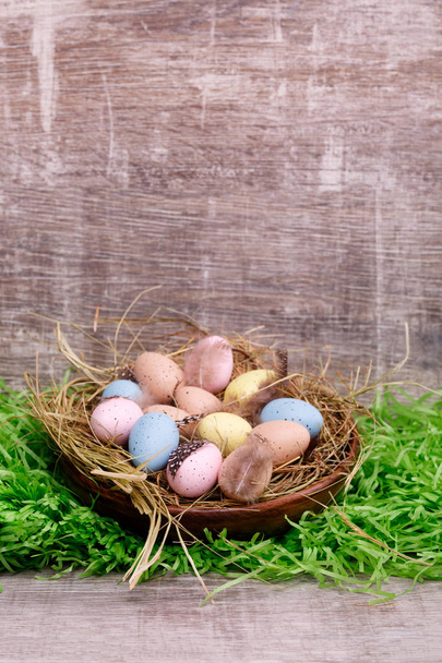 Easter colorful quail eggs and feathers in nest on natural green grass in front of a wooden background. - Фото, зображення