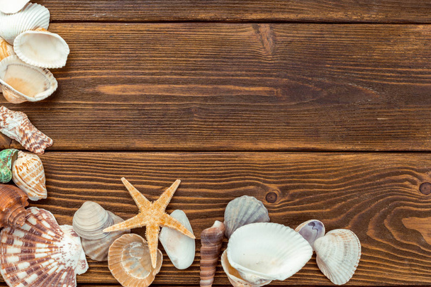 Beach accessories on wooden board - Fotografie, Obrázek