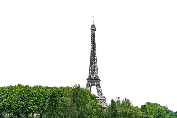 Az Eiffel-torony, feltörekvő elszigetelt fehér fák alatt - Fotó, kép