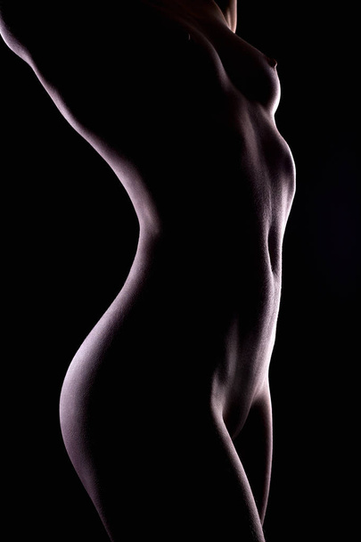 Female Nude silhouette. Young Sexy Woman Body - Foto, imagen