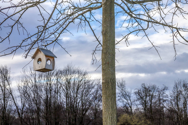 Birdhouse małe wiszące na drzewie - Zdjęcie, obraz