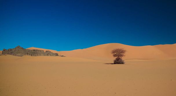 Краєвид піску, дюни та пісковиків природи скульптури в Tamezguida Tassili najjer національного парку, Алжир - Фото, зображення