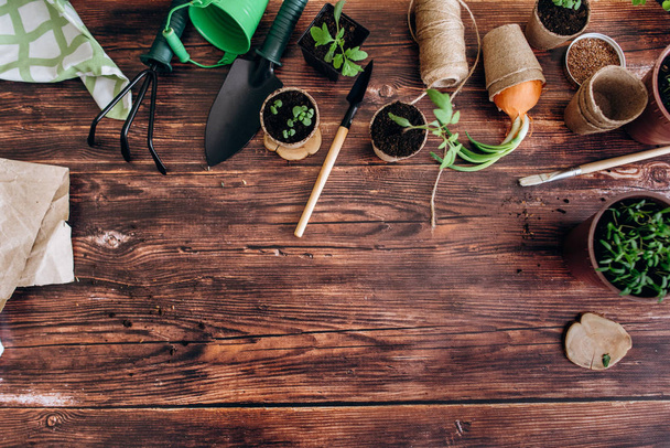 Composition with fresh sprouts and gardening tools on brown wooden background - Photo, image