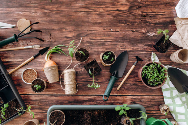 Brüksel lahanası ve kahverengi ahşap zemin üzerinde Bahçe aletleri kompozisyonu - Fotoğraf, Görsel