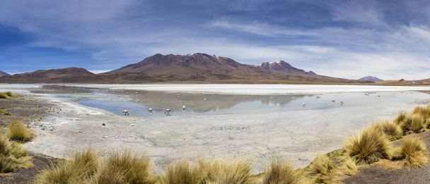 Laguna Hedionda op Eduardo Avaroa Andes Fauna Nationale Reserve in Bolivia - Foto, afbeelding