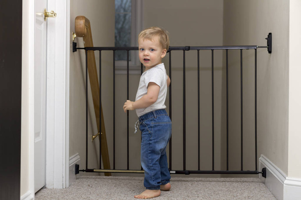 Cute toddler approaching safety gate of stairs at home - Photo, Image