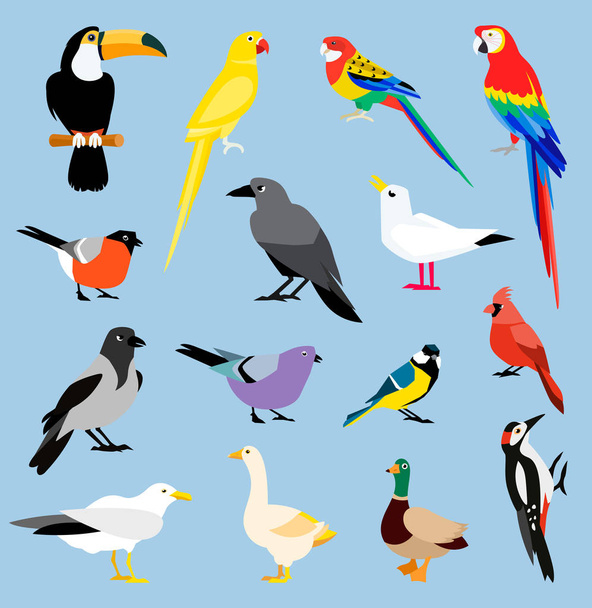 Collection d'icônes d'oiseaux vectoriels
. - Vecteur, image