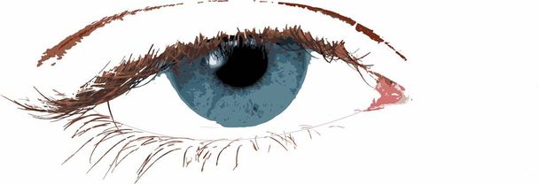 Blauw oog vector eps - Vector, afbeelding