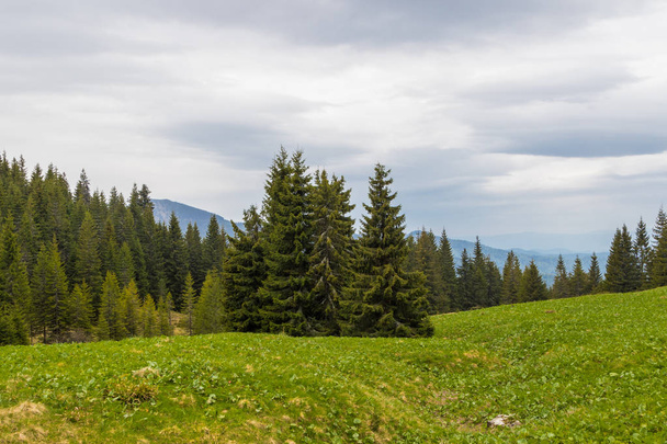 The mountain range of Marmarosa. Pip Ivan mountain. Carpathians  - Foto, Imagen