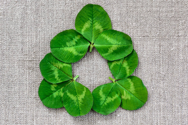 Green leaves of clover on the background of linen cloth. - Photo, Image