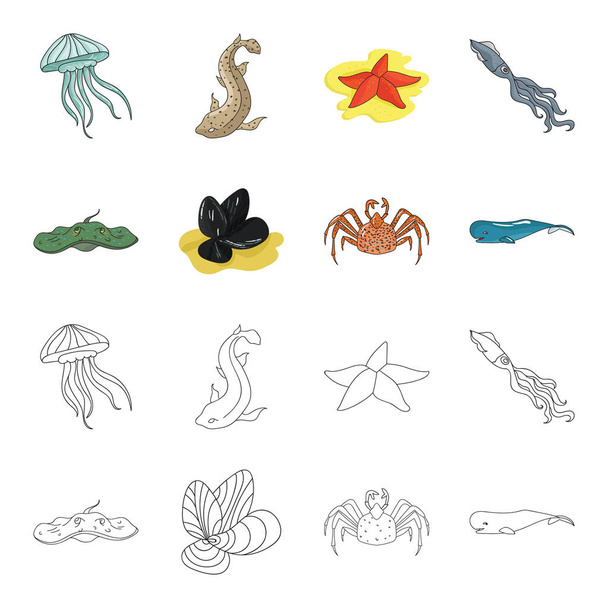 Electric ramp, mussels, crab, sperm whale.Sea animals set collection icons in cartoon,outline style vector symbol stock illustration web. - Vector, afbeelding