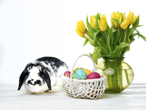 Húsvéti nyuszi, tojás és elszigetelt fehér virágok - Fotó, kép